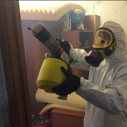 Уничтожение клопов в квартире. Кольцово